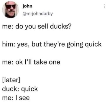 1768444247759.jpeg