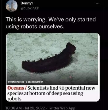 1768444319464.jpeg