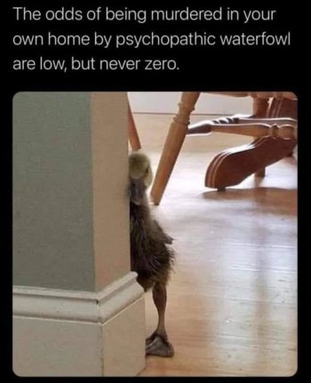 1768444642171.jpeg