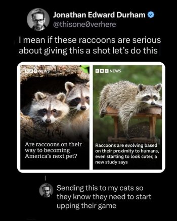 1768512730754.jpeg