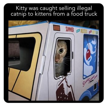 1768595530805.jpeg