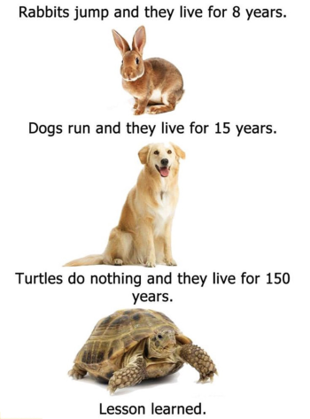 1768605358549.png