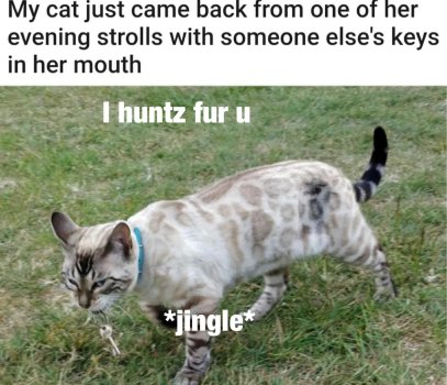 1768650212795.jpeg