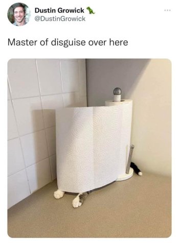 1768650887235.jpeg