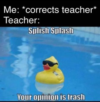 1768651207731.jpeg