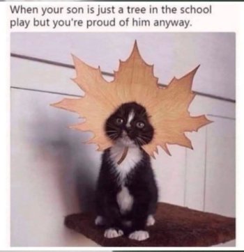1768651812247.jpeg