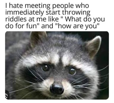 1768768207227.jpeg