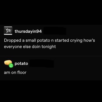 1768769759132.jpeg