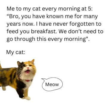 1768815435239.png