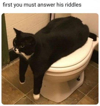 1768815568265.jpeg