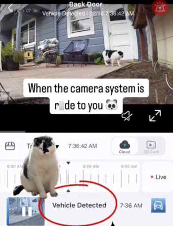 1768815694454.png