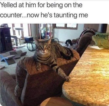 1768815762378.jpeg