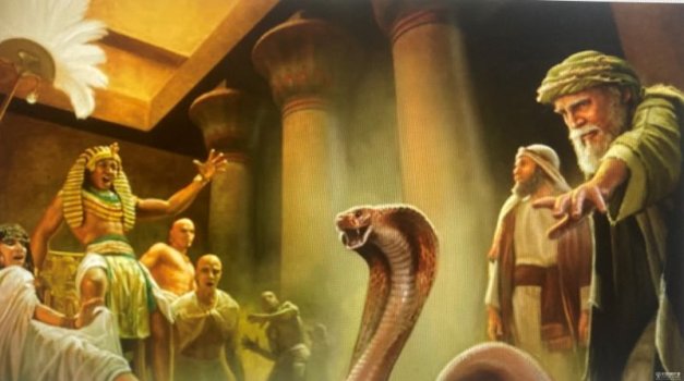 serpent.jpg serpent.jpg