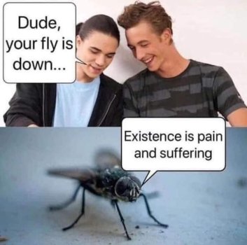 1768926497347.jpeg