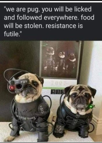 1768928812184.jpeg