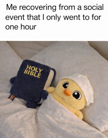 1768933306721.jpeg