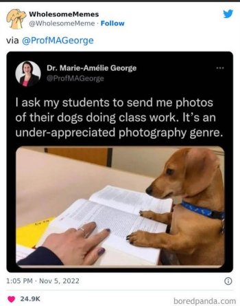 1768944677201.jpeg