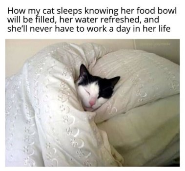 1768962071888.jpeg