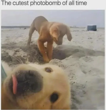 1768962247637.png