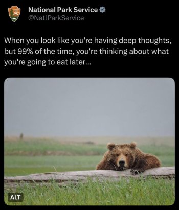 1768967083463.jpeg