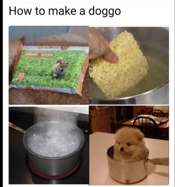 1768998241259.jpeg