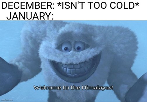 e7.jpeg