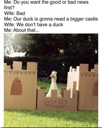 1769037067495.jpeg