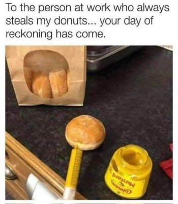 1769037292087.jpeg 1769037292087.jpeg