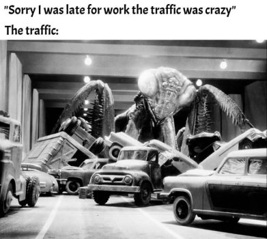 1769050368752.jpeg