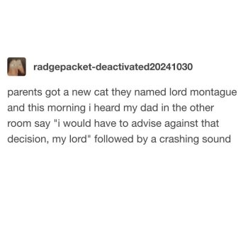 1769097882266.jpeg