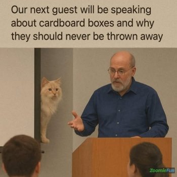 1769126417246.jpeg