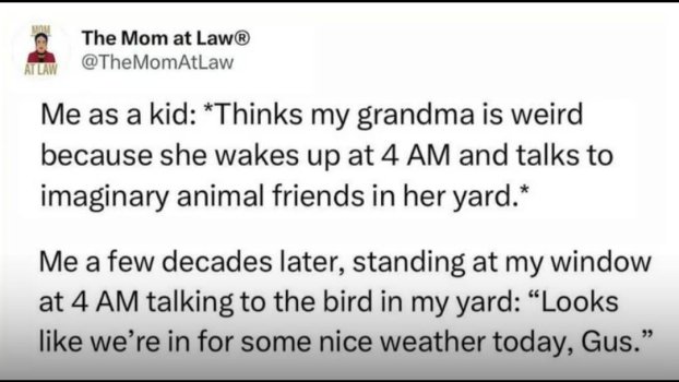 1769126565387.jpeg