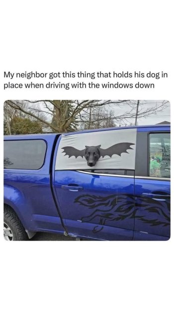 1769126700410.jpeg