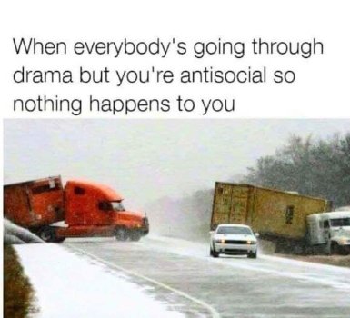 1769127382541.jpeg