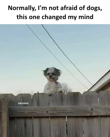 1769140075054.png