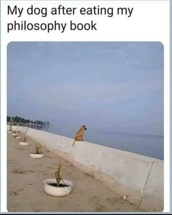 1769168002924.jpeg