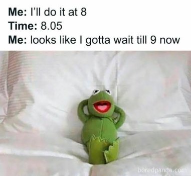 e8.jpg