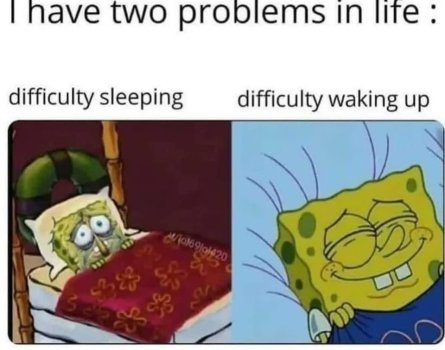 1769168174568.jpeg