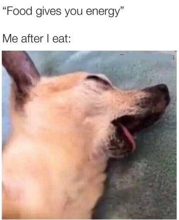 1769168215601.jpeg