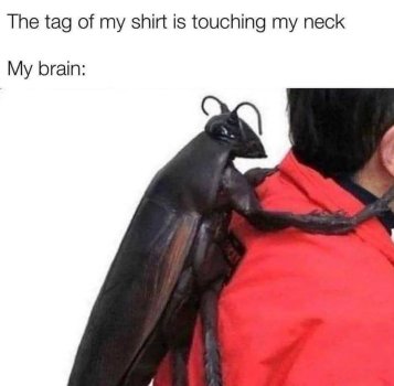 1769168297356.jpeg