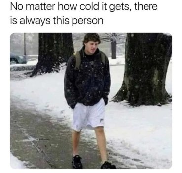 1769168391175.jpeg
