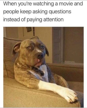 1769168571143.jpeg