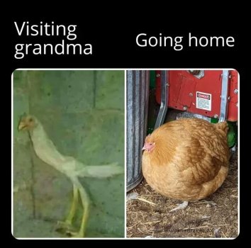 1769168688597.jpeg