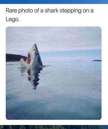 1769226326653.png