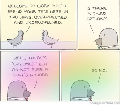 1769264596906.jpeg