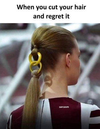 1769264767251.jpeg