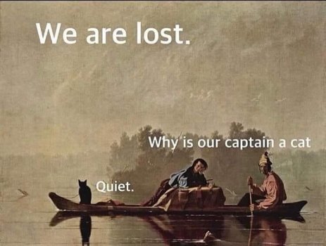 1769313559698.jpeg