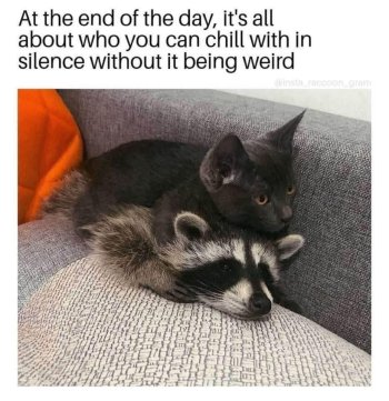 1769364602773.jpeg