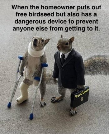 1769370440109.jpeg
