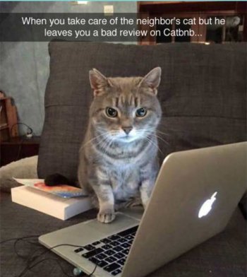1769374282829.jpeg